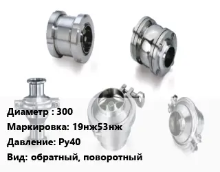 Клапан нержавеющий 300 19нж53нж Ру40 обратный, поворотный